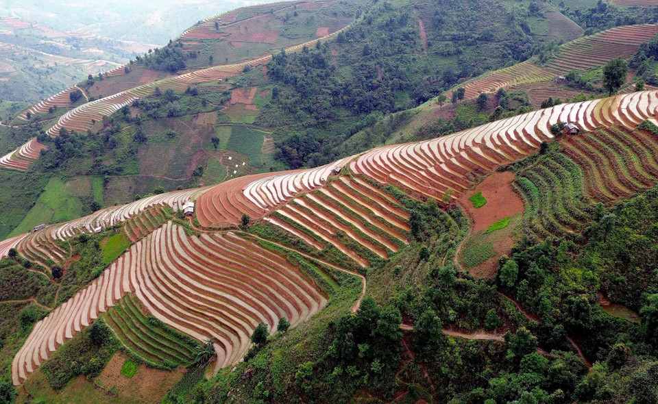 Rizières en terrasses dans la commune de Xim Vang, district de Bac Yên, province de Son La. Photo : VNA