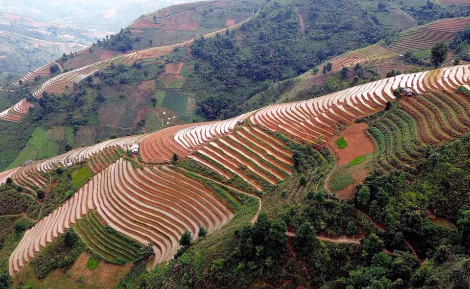 Rizières en terrasses dans la commune de Xim Vang, district de Bac Yên, province de Son La. Photo : VNA