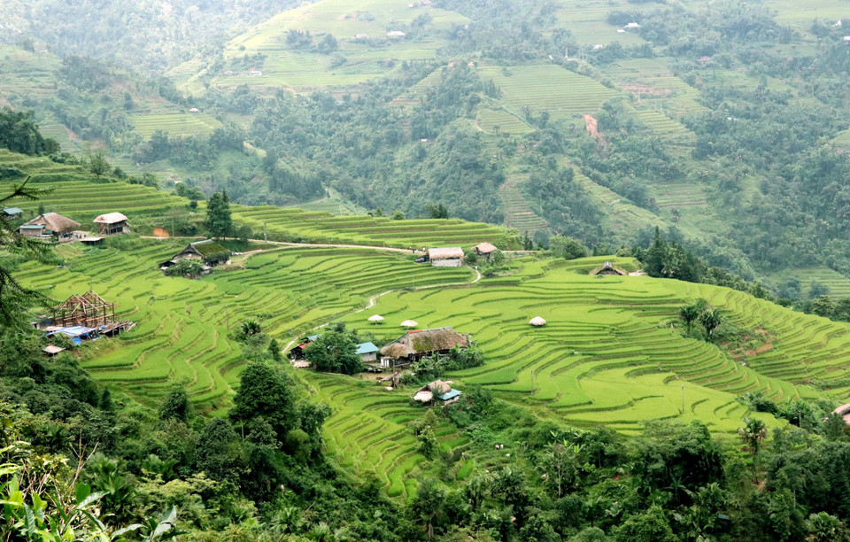 Dans les montagnes et forêts de la zone frontalière de Thanh Thuy (Tuyên Quang) se dressent des maisons aux toits recouverts de mousse.