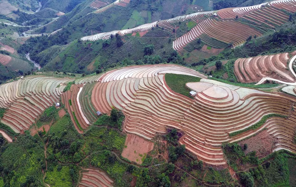 es rizières en terrasses constituent un attrait majeur des paysages montagneux et forestiers du Nord-Ouest. Elles sont particulièrement spectaculaires lorsque le riz arrive à maturité, juste avant la récolte, et durant la saison des eaux. Photo : VNA ﻿