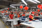 Des agriculteurs de la province de Bac Ninh récoltent les litchis précoces. Photo : VNA
