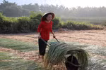 Tay Ninh : Préserver le rythme de l'artisanat traditionnel de l'estuaire de Nhut Tao