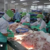 Le Vietnam exporte vers le Brésil des produits aquatiques, du caoutchouc, des textiles, des chaussures et de l’acier... Photo : VNA