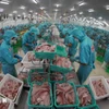 Transformation de pangasius pour exportation. Photo d'illustration: VNA