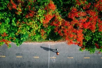 Les voyageurs vietnamiens optent de plus en plus pour des séjours courts à l'étranger et des expériences originales à l'occasion des congés du 30 avril et du 1er mai. Photo: VietnamPlus