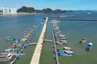 Port international d’Ha Long. Photo: VNA