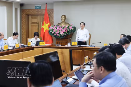 Le vice-Premier ministre Ho Quoc Dung préside une réunion consacrée au projet de développement de centres de recherche, d’essai et de laboratoires clés au service des technologies stratégiques. Photo: VNA
