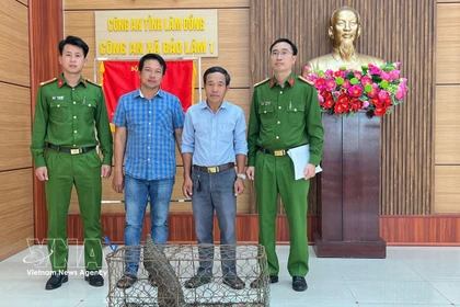 Doan Hong Hai (troisième à partir de gauche) remet un pangolin rare aux autorités de la commune de Bao Lam 1. Photo : VNA