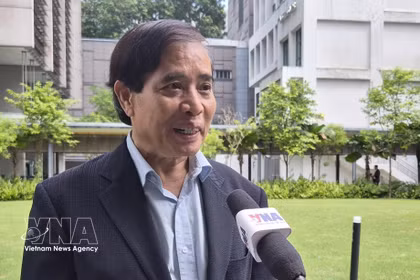 Le professeur Vu Minh Khuong, de l’École de politique publique Lee Kuan Yew. Photo: VNA