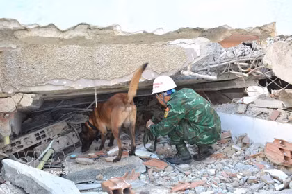 Les chiens de recherche sont déployés en premier pour repérer les zones où pourraient se trouver des victimes. Photo: VNA