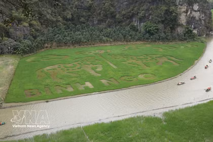 À Ninh Binh, une immense œuvre d’art pousse… dans les rizières