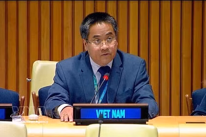 Nguyen Hai Luu, ministre-conseiller et chef adjoint de la Mission permanente du Vietnam auprès de l'ONU. Photo: VNA