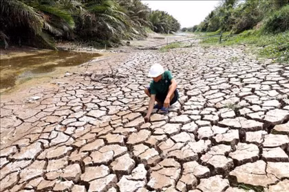 Efforts déployés pour faire face aux changements climatiques. Photo: VNA