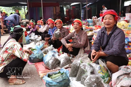 L'effervescence du marché périodique de Phuong Do : l'âme rurale de Tuyen Quang