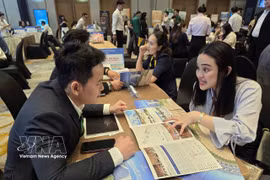 Plus de 7 000 rencontres d’affaires B2B et la signature de protocoles d’accord ont été enregistrés lors de l’espace Business et de mise en relation B2B, dans le cadre du Festival international du tourisme de Da Nang 2026. Photo: VNA