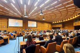 Consultation d’information sur la Convention des Nations Unies sur la lutte contre la cybercriminalité et sa mise en œuvre. Photo: VNA