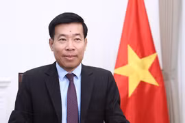 Le vice-ministre des Affaires étrangères Nguyen Manh Cuong. Photo: ministère des Affaires étrangères