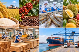 Pour atteindre l'objectif de plus de 74 milliards de dollars sur l'ensemble de l'année 2026, les exportations de produits agricoles, sylvicoles et aquatiques devront atteindre près de 6 milliards de dollars par mois. Photo: nhandan.vn