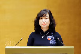 La ministre de la Santé, Dao Hong Lan s'exprime à la la deuxième session de la 16e Assemblée nationale. Photo: VNA