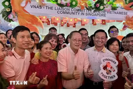 Le ministre singapourien de la Main-d'œuvre, Tan See Leng (centre) visite le stand de la VNAS. Photo: VNA