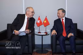 Le secrétaire général du Parti communiste du Vietnam et président vietnamien To Lam (droite) rencontre le président suisse Guy Parmelin. Photo: VNA