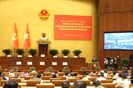 Ouverture de la conférence nationale pour la mise en œuvre de la Résolution du 2e Plénum du 14e Comité central du Parti. Photo: VNA