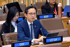 L'ambassadeur Do Hung Viet, représentant permanent du Vietnam auprès de l'ONU. Photo: VNA