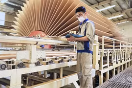 Les exportations de bois et de produits dérivés ont atteint 8,54 milliards de dollars au premier semestre, soit une progression de 4,4 % sur un an. Photo: VNA