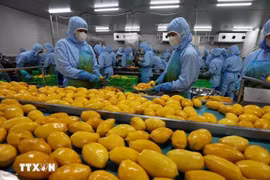 Un établissement de la société B'LaoFood à Lam Dong. Photo: VNA