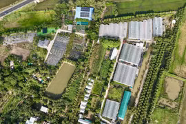 Le tourisme à la ferme, une tendance en plein essor au Vietnam 