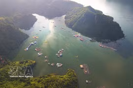 Avec ses eaux cristallines et ses paysages majestueux, le lac Hoa Binh est devenu une destination incontournable pour les visiteurs de la province de Phu Tho. Photo : VNA
