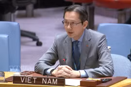 L’ambassadeur Do Hung Viet, chef de la Mission permanente du Vietnam auprès des Nations unies. Photo: VNA