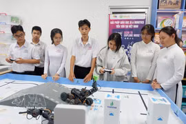 Le Vietnam met actuellement l’accent sur une stratégie de développement de ressources humaines de haute qualité dans les secteurs STEM. Photo: VNA