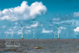 Au large des côtes de la province de Ca Mau, la vitesse moyenne du vent marin est de 6,3 à 7 m/s à une altitude de 80 à 100 m, ce qui est très favorable au développement de l'énergie éolienne. Photo: VNA