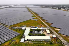 La centrale solaire Trung Nam Tra Vinh, dans la province de Tra Vinh, fournit environ 250 millions de kWh d'électricité par an. Photo: VNA