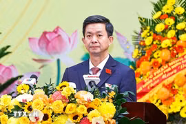 Lê Quang Tung, secrétaire du Comité municipal du Parti et chef de la délégation de la ville au 14ᵉ Congrès national du Parti. Photo: VNA