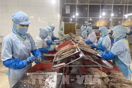 Pour exploiter pleinement le potentiel du marché européen, le secteur agricole vietnamien doit surmonter d'importantes barrières en matière de normes techniques, de qualité, de logistique et proposer une stratégie de développement des produits. Photo: VNA