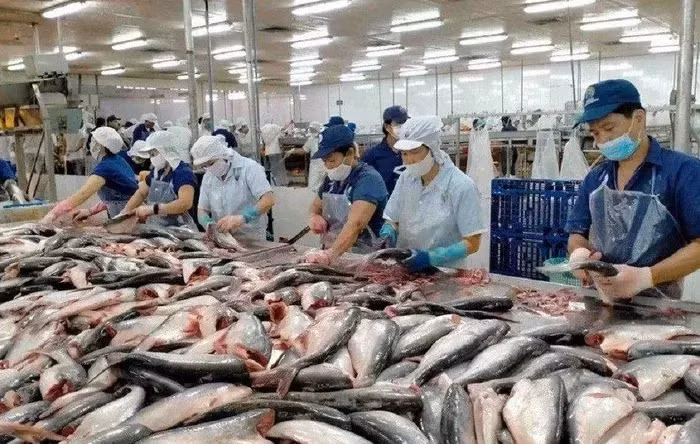 Les exportations de produits aquatiques devraient atteindre 4,4 milliards de dollars au premier semestre