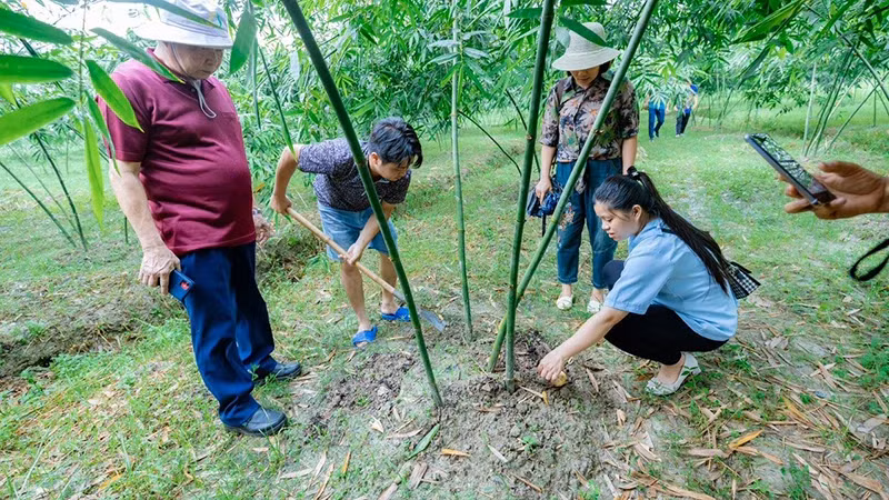 Un modèle de l'agro-écotourisme. Photo: https://nhandan.vn/
