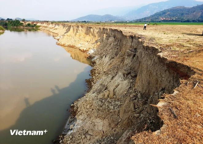 Comme d’autres pays du monde, le Vietnam est considéré comme un pays touché par la sécheresse, la dégradation des sols et les dunes de sable mobiles. Photo: VIetnamplus 5.webp