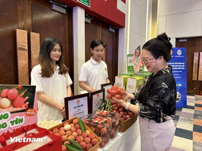 Des litchis en forme d'œuf de Hung Yen. Photo: Vietnamplus 4.webp