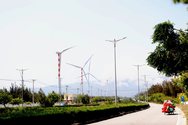 Les éoliennes créent une scène magnifique dans la commune de Cat Tien. Photo: Vietnamplus 3 (1).png