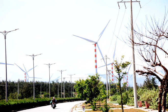 Les meilleurs moments pour visiter les parcs éoliens à Cat Tien sont tôt le matin ou en fin d’après-midi. Photo: VietnamPlus 6.png