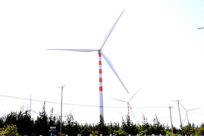 Les parcs éoliens situés à 30km de la ville de Quy Nhon. Photo : VietnamPlus 4 (1).png
