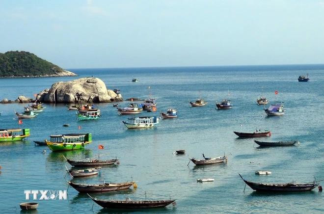 La réserve mondiale de biosphère Cu Lao Cham-Hoi An possède un écosystème unique et diversifié. Photo: Vietnamplus 2.webp