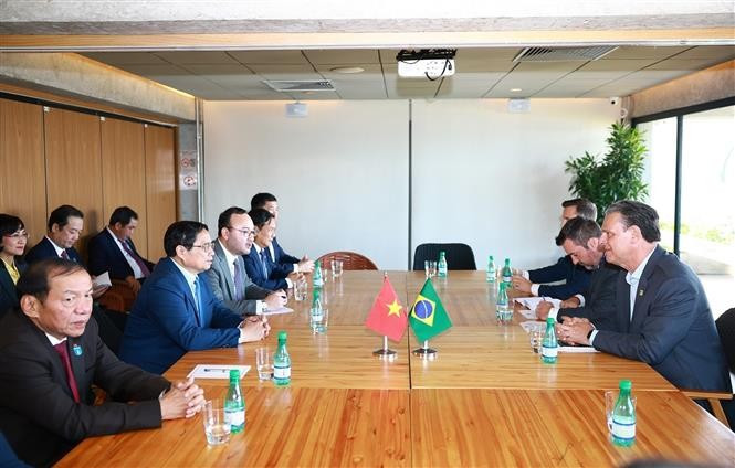 vna-potal-thu-tuong-chung-kien-lo-hang-thit-bo-dau-tien-cua-brazill-xuat-sang-viet-nam-8133212.jpg