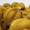 Au premier semestre, le Vietnam a exporté 5 217 lots de durian frais, totalisant près de 130 000 tonnes. Concernant le durian congelé. Photo: VNA