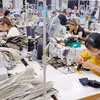 Confection de vêtements d'exportation. Photo : VNA