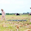 Dépollution des terres contaminées par la dioxine. Photo: VNA