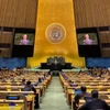 La Session extraordinaire d'urgence de l’Assemblée générale des Nations Unies. Photo: VNA